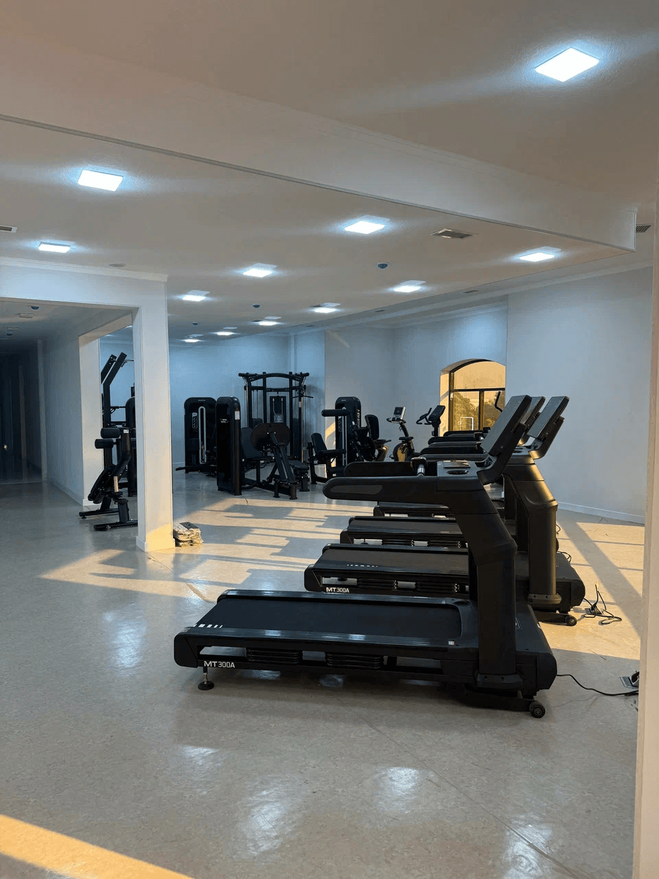 Gym Katı